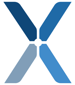 BizNexus Team